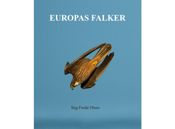Europas falker Praktbok av Stig Frode Olsen