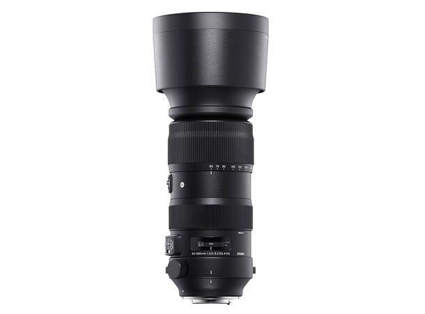 Sigma 60-600mm f/4,5-6,3 DG OS Nikon Stabilisert superzoom for Nikon