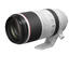 Canon RF 100-500mm f/4.5-7.1 L IS USM Superkompakt telezoom